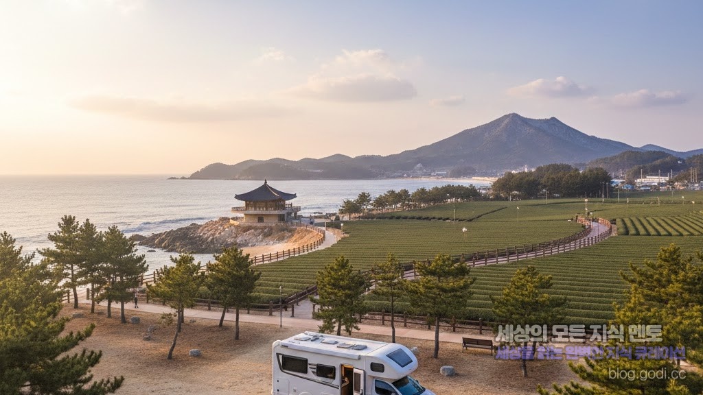 겨울의 끝을 잡는 온기, 전남 보성 ‘초록빛 웰니스’ 차박 & 해수 온천 가이드
