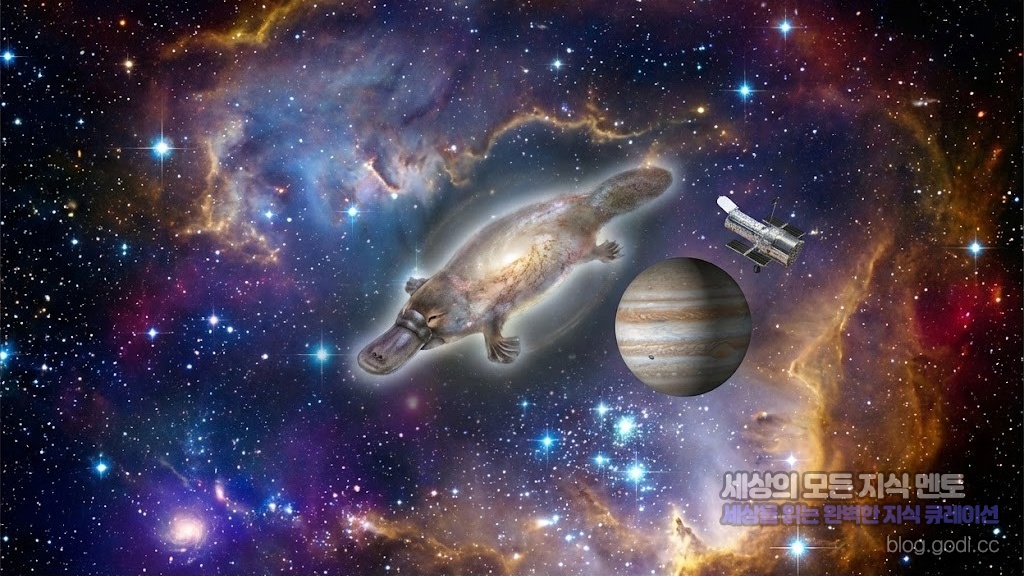 우주판 오리너구리의 등장? 제임스 웹이 포착한 기묘한 은하와 2026년 천문학의 화두